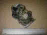 Тормозные колодки задние Audi A4, A6, A8, V8/Fiat Croma/Lancia Thema/Alfa Romeo CHAMPION 571462CH (фото 1)