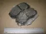 Колодки тормозные дисковые передние HYUNDAI Coupe, Tucson CHAMPION 572514CH (фото 4)