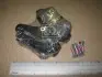 Колодки тормозные дисковые задние Peugeot Expert, Citroen Jumpy, Fiat Scudo CHAMPION 573281CH (фото 2)