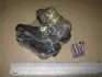 Колодки тормозные дисковые задние Peugeot Expert, Citroen Jumpy, Fiat Scudo CHAMPION 573281CH (фото 1)