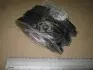 Колодки тормозные дисковые передние Nissan Qashqai all models (07-) CHAMPION 573379CH (фото 5)