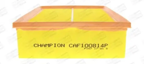 Фільтр повітряний AUDI A4 B6 (8E2) 00-05, A4 B6 Avant (8E5) 00-05, A4 B7 (8EC) CHAMPION CAF100814P