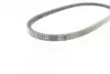 Ремінь генератора VW Caddy/Golf/Passat/Polo 1.4-2.0 91-02/Seat Alhambra/Ibiza 91-10 (755x11.5) Contitech 11,5X755Ld (фото 3)