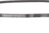 Ремень генератора Mazda 323 89-04/ Mitsubishi Pajero II 3.5 V6 94-99 Contitech 4PK1000 (фото 2)