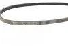 Ремень генератора Honda Civic VI/Nissan Primera/Citroen Berlingo 1.4-1.6 16V 94-05 Contitech 4PK800 (фото 2)