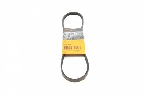 Ремінь генератора Honda Civic VI/Nissan Primera/Citroen Berlingo 1.4-1.6 16V 94-05 Contitech 4PK800