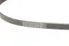 Ремень генератора Hyundai Accent 1.3-1.6 94-11/ Toyota Carina/ Corolla 1.6-2.0 93-01 Contitech 4PK850 (фото 3)