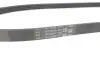Ремінь генератора Renault Clio 1.2 16V 12- (4PK865) Contitech 4PK865 ELAST (фото 4)
