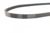 Ремень генератора Mazda 323 1.3-1.8 89-04/BMW 3 (E46)/7 (E65/E66/E67) 3.0d 02-05/Kia Rio 1.5 00-05 Contitech 4PK885 (фото 2)