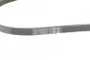 Ремень генератора Hyundai Tucson/i30/Kia Sportage/Carens/Ceed/Suzuki Grand Vitara 04-/Audi/BMW/Mazda Contitech 4PK890 (фото 4)