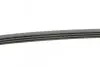 Ремінь генератора Renault Kangoo/Clio 1.2i 97-/Fiat Scudo 1.6i 96-06/Nissan Kubistar 1.2 03- Contitech 4PK905 (фото 2)