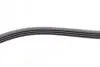 Ремінь генератора Fiat Fiorino 1.4/1.6i 93-01/Mitsubishi Galant 1.8/2.0 87-03/Toyota Hilux 2.4 97-05 Contitech 4PK938 (фото 4)