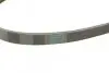 Ремінь генератора BMW 3 (E46)/5 (G30/F90)/7 (G11/G12)/X3 (G01/F97)/X5 (G05)/Kia Rio 00-05 Contitech 4PK970 (фото 4)