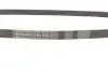 Ремінь генератора BMW X5 (E53) 4.4i/4.6is/Opel Astra 2.2 16V 00-03/Mazda 626 1.8 94-97/MX-5 2.0 15- Contitech 5PK1025 (фото 2)