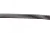 Ремінь генератора BMW X5 (E53) 4.4i/4.6is/Opel Astra 2.2 16V 00-03/Mazda 626 1.8 94-97/MX-5 2.0 15- Contitech 5PK1025 (фото 3)
