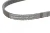 Ремень генератора Mazda 323/626 1.8-2.0 97-02/Opel Astra G/Vectra B/C 2.0/2.2 00-08 Contitech 5PK1030 (фото 4)