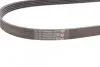 Поликлиновый ремень (Выр-во) Contitech 5PK1070 (фото 3)