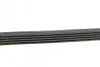 Комплект ремня генератора Renault Clio/Megane/Scenic/Nissan Almera/Micra/Kubistar 1.5 dCi 03- Contitech 5PK1135 K2 (фото 2)