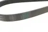 Комплект ремня генератора Renault Clio/Megane/Scenic/Nissan Almera/Micra/Kubistar 1.5 dCi 03- Contitech 5PK1135 K2 (фото 3)