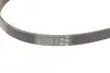 Ремінь генератора Toyota Avensis/Corolla 2.0D 03-09/Hyundai i10 1.0 13- Contitech 5PK1250 (фото 3)