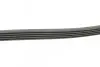 Ремінь генератора MB A-class (W168) 97-04 Contitech 5PK1290 (фото 2)