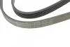 Ремень генератора Mitsubishi Galant 2.0/2.4 GDI 96-04 Contitech 5PK1330 (фото 4)
