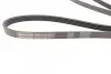 Ремень генератора Opel Zafira/Astra 1.6/1.8 05-15/Fiat 1.6/1.8 05-/Chevrolet Orlando 1.8 11- Contitech 5PK1546 (фото 2)