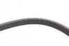 Ремень генератора Opel Zafira/Astra 1.6/1.8 05-15/Fiat 1.6/1.8 05-/Chevrolet Orlando 1.8 11- Contitech 5PK1546 (фото 3)
