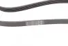 Ремень генератора VW Passat 1.9TDI 96-00/Audi A4/A6 1.9TDI 95-01/Kia Carnival 2.9TDi/CRDi 99-06 Contitech 5PK1592 (фото 3)