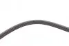 Ремень генератора VW Passat 1.9TDI 96-00/Audi A4/A6 1.9TDI 95-01/Kia Carnival 2.9TDi/CRDi 99-06 Contitech 5PK1592 (фото 4)