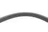 Ремень генератора Renault Kangoo/Megane/Logan 1.4/1.6i 97-/Opel Insignia 2.0 17- Contitech 5PK1750 (фото 4)