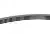 Ремень генератора MB A-class (W169)/B-class (W245) 1.5-2.0 04-12/Opel Insignia 2.0T 13-17 Contitech 5PK1765 (фото 2)