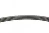 Ремень генератора Hyundai Tucson 15-/i20/i30/i40/Accent/Kia Ceed/Rio 05-/Sportage/Soul/Carens 10- Contitech 5PK1815 (фото 2)