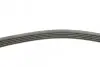 Ремень генератора Mazda 5 1.8/2.0 05-/Mazda 3 2.0/MZR 03-14 (+AC) Contitech 5PK716 ELAST (фото 2)