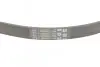 Ремінь генератора Ford Focus 1.6i Contitech 5PK868 ELAST (фото 3)