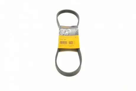 Ремінь генератора Renault Kangoo 1.2i 97-/Subaru Impreza 2.0 05-07/Nissan Pathfinder 4.0 05- Contitech 5PK875