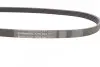 Ремень генератора Ford Fiesta 1.8 DI 95-02/Toyota Rav4 2.0D 4WD 01-05 Contitech 5PK884 (фото 2)