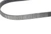 Дорожный ремень Contitech 5PK926 ELAST (фото 3)