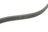 Ремень генератора VW Beetle/Jetta 2.5 10- Contitech 5PK934 (фото 3)