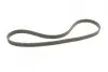 Ремень генератора VW T5 1.9TDI/VW Caddy 1.6 04-15/Ford Galaxy 1.9TDI 95-06 Contitech 6DPK1195 (фото 3)
