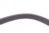 Ремінь генератора Volvo C70/S40/S80/S70/V70/XC70/XC90 2.0-3.0 98-14 Contitech 6DPK1841 (фото 2)