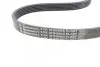 Ремінь генератора Ford Fiesta/Focus 1.4/1.6i 16V 01-12 (6PK1019 ELAST+5PK690 ELAST) Contitech 6PK1019 ELAST T1 (фото 5)