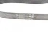 Ремінь генератора Ford Fiesta/Focus 1.4/1.6i 16V 01-12 (6PK1019 ELAST+5PK690 ELAST) Contitech 6PK1019 ELAST T1 (фото 10)