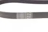Ремень генератора Ford Fiesta VI/Mondeo IV 08- Contitech 6PK1029 ELAST (фото 3)