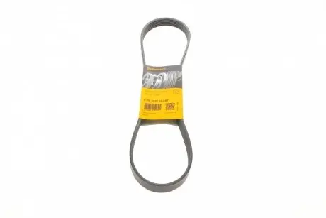 Ремень генератора Ford Fiesta VI 1.25-1.6Ti 08- Contitech 6PK1033 ELAST