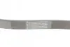 Ремень генератора Ford Focus/Fiesta/Fusion 1.25-1.6 99-12/Mazda 2 1.25-1.6 03-07 Contitech 6PK1042 ELAST (фото 3)