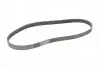 Ремень генератора Ford Focus/Fiesta/Fusion 1.25-1.6 99-12/Mazda 2 1.25-1.6 03-07 Contitech 6PK1042 ELAST (фото 5)