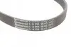 Ремінь генератора VW Golf III/Passat/T4 1.9D/TD 90-04/Opel Corsa F 1.2 19-/Fiat Scudo 1.9D 98-06 Contitech 6PK1045 (фото 4)
