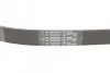 Ремінь генератора VW Golf III/Passat/Caddy 1.9/2.0TDI/SDI 03-10/Skoda Octavia/Superb 1.9/2.0TD 04-15 Contitech 6PK1050 (фото 3)