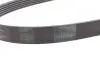 Ремінь генератора Audi/Skoda Octavia/VW Golf/Passat B6 2.0TFSI/RS/GTi/FSI 04-13/Fiat Doblo 1.9D 01- Contitech 6PK1054 (фото 2)